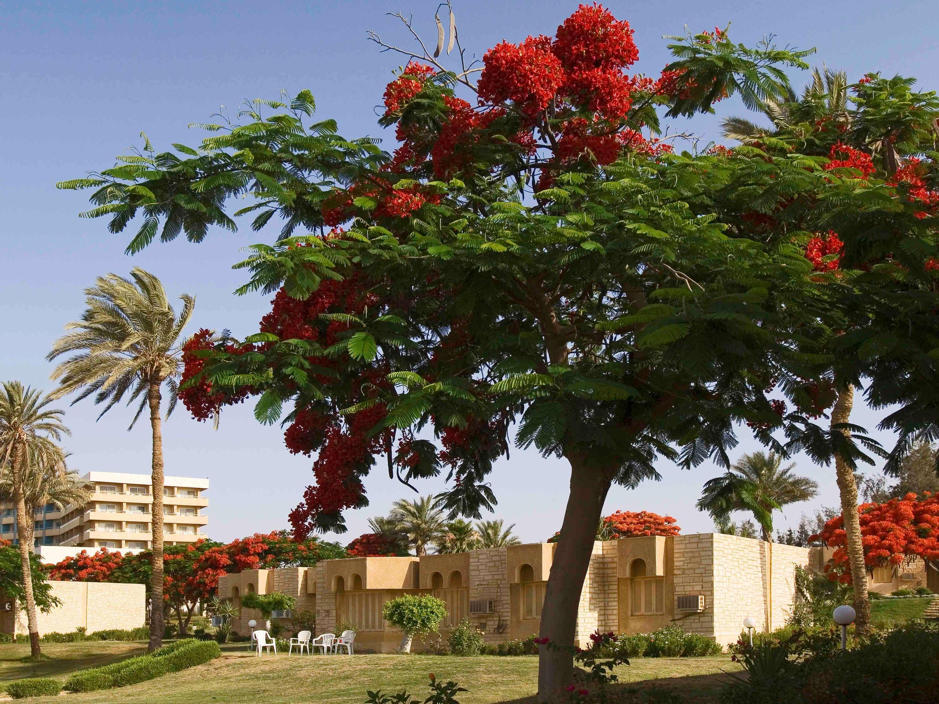 Mercure Ismailia Forsan Island Екстер'єр фото